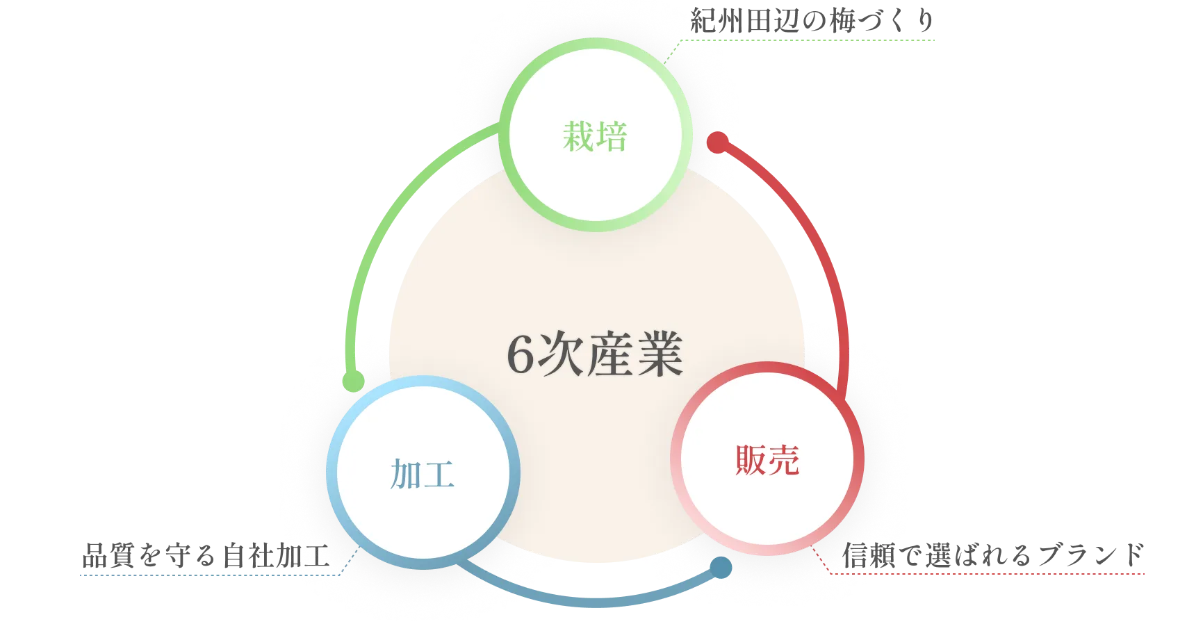 中峰農園は、農園業・加工業・販売卸業の3つの事業を展開。梅の栽培から製造、販売まで自社で行う一貫体制による「6次産業モデル」の図